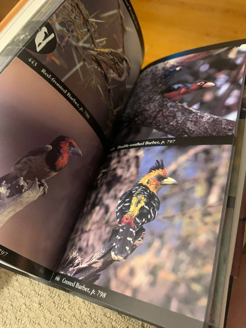 National Audubon Society Field Guide to African Wildlife 1995 Paperback